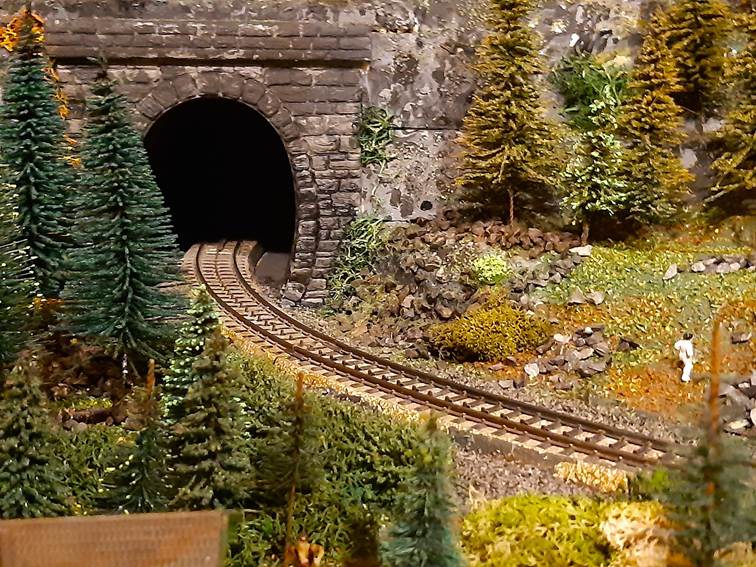 Ein Bild, das Eisenbahntunnel, Baum, Zug, Bahn enthlt.

Automatisch generierte Beschreibung