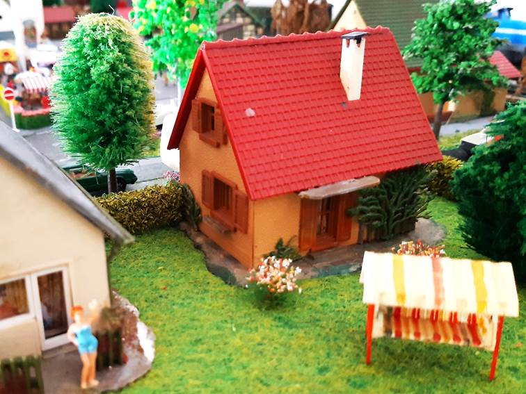Ein Bild, das Gras, drauen enthlt.

Automatisch generierte Beschreibung