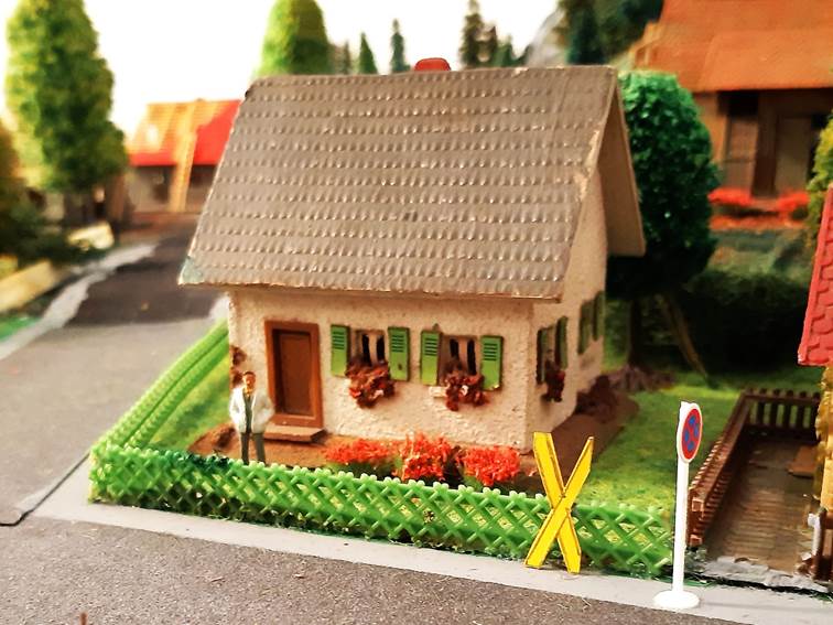 Ein Bild, das drauen, Boden, Pflanze, Garten enthlt.

Automatisch generierte Beschreibung