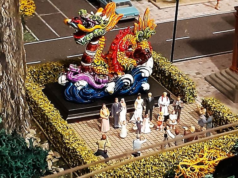 Ein Bild, das Blume, Pflanze, drauen enthlt.

Automatisch generierte Beschreibung
